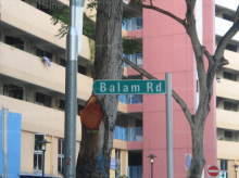 Balam Road #94482